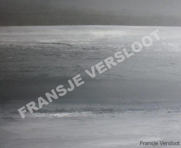 Wadden X